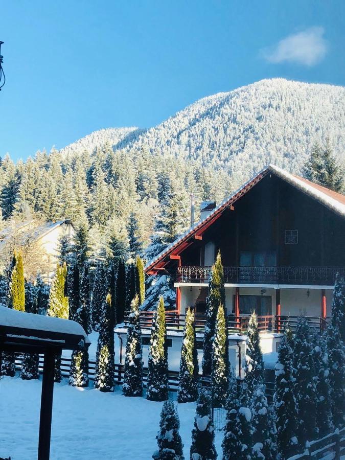 Maya Luxury Residence ポイアナ・ブラショフ エクステリア 写真