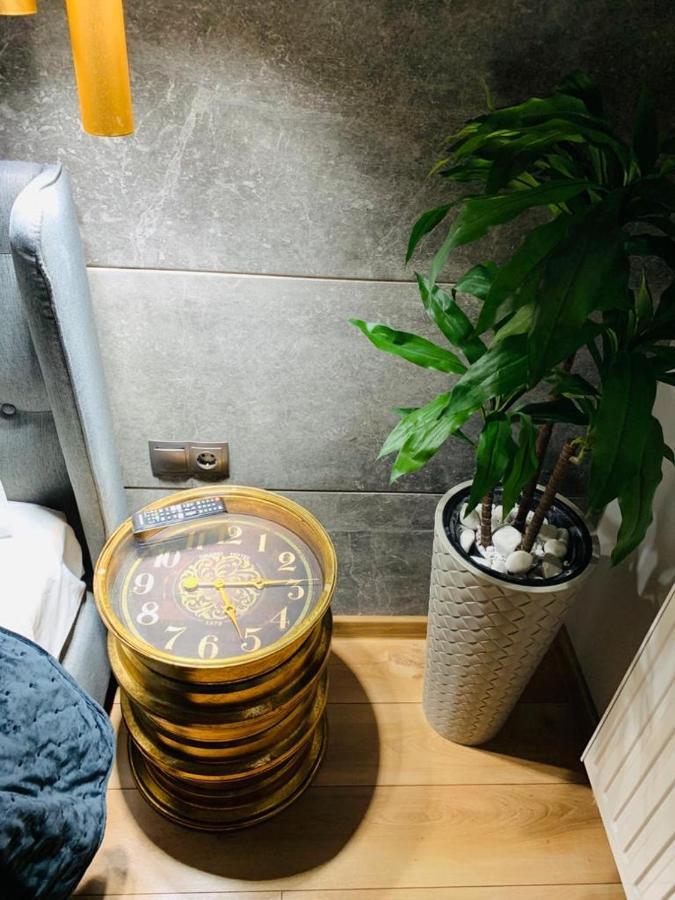 Maya Luxury Residence ポイアナ・ブラショフ エクステリア 写真