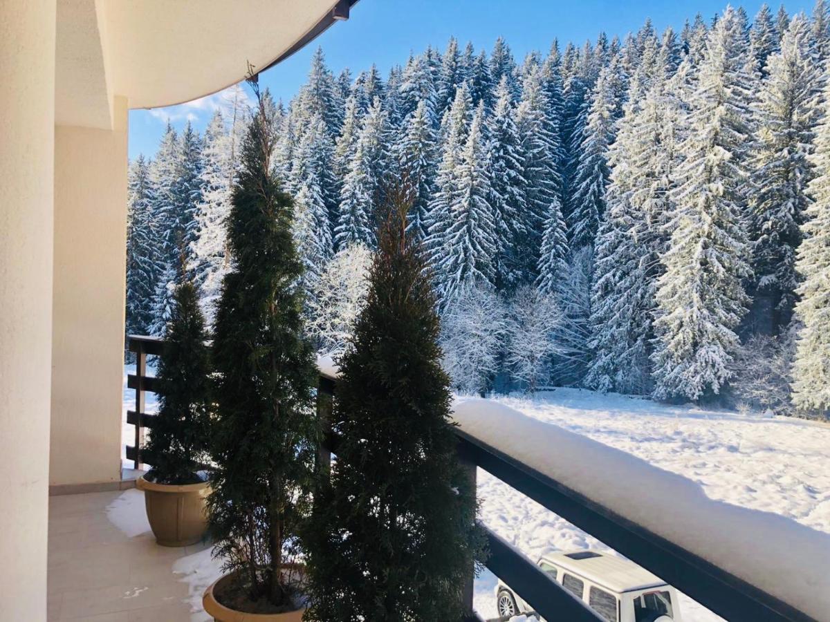 Maya Luxury Residence ポイアナ・ブラショフ エクステリア 写真