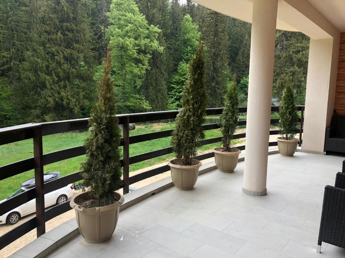 Maya Luxury Residence ポイアナ・ブラショフ エクステリア 写真
