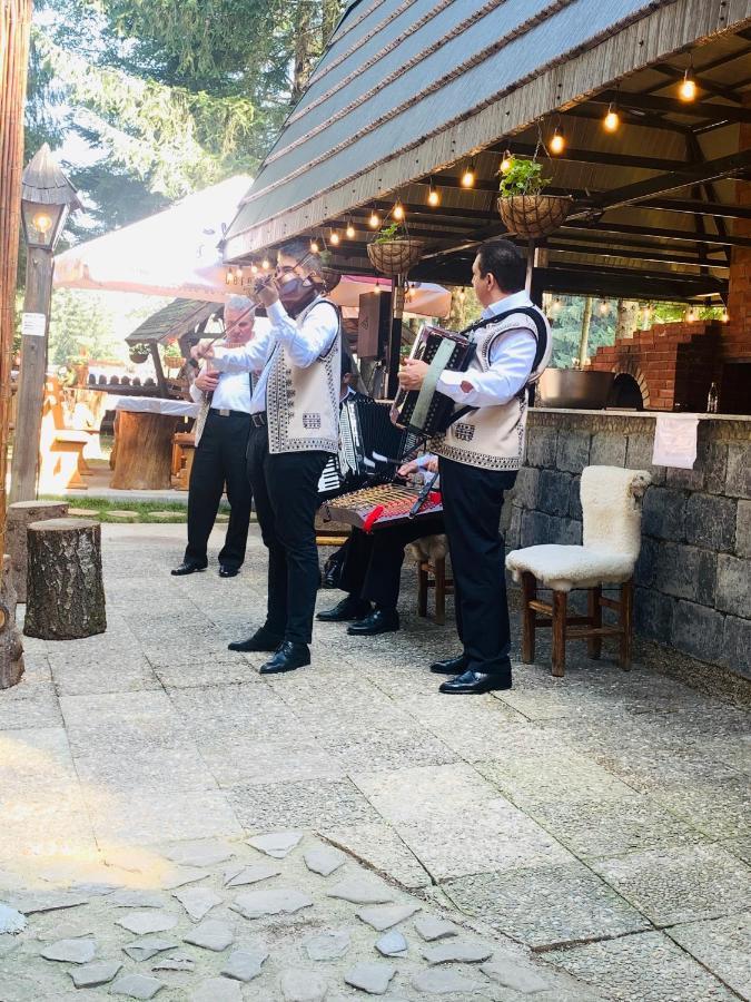 Maya Luxury Residence ポイアナ・ブラショフ エクステリア 写真